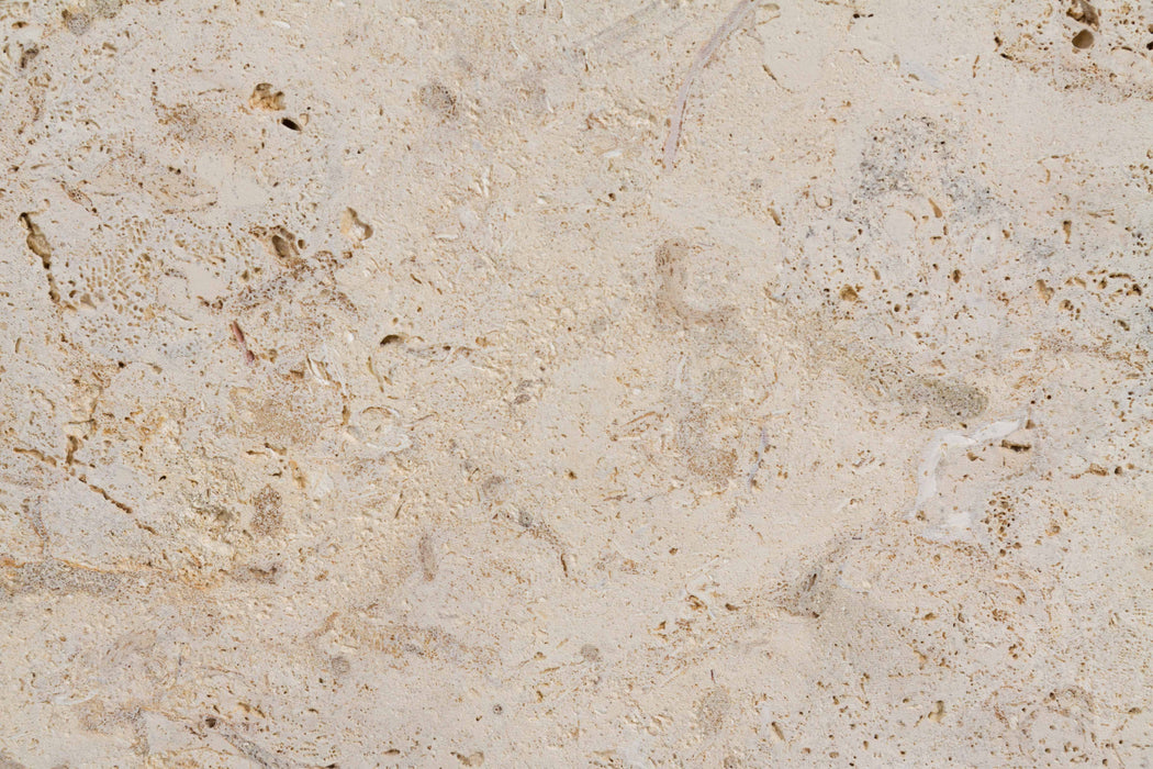 Shell Stone Shellstone Paver - Filled & Honed | Lowest Price — Stone ...