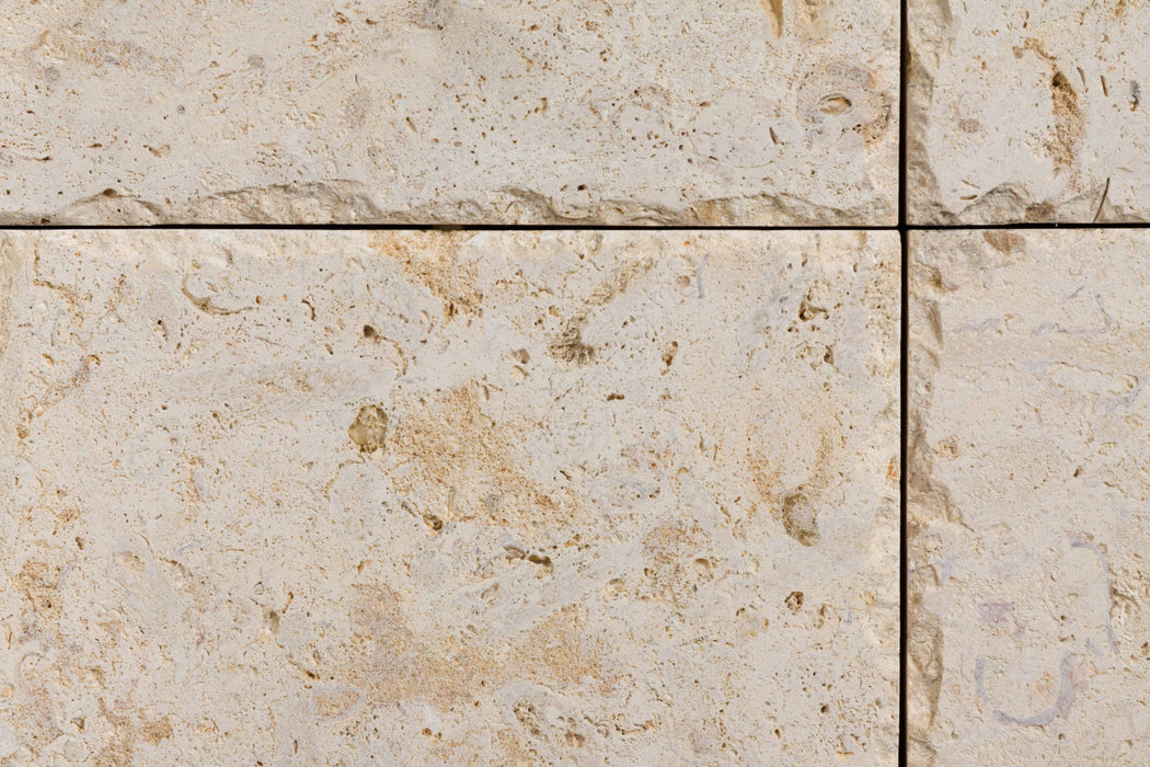 Shell Stone Shellstone Paver - Filled & Honed | Lowest Price — Stone ...