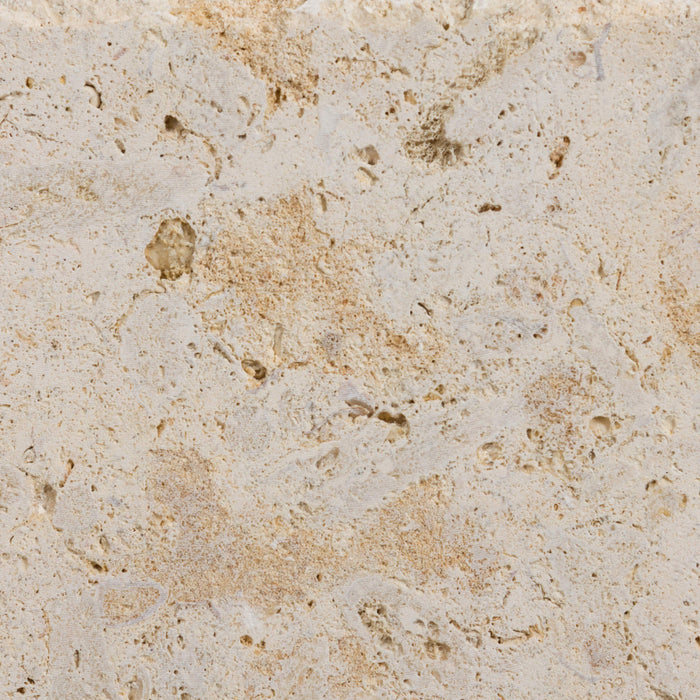 Shell Stone Shellstone Paver - Filled & Honed | Lowest Price — Stone ...