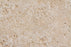 Caldirole Unfilled & Honed Travertine Paver - 6" x 12" x 1 1/4"