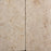 Caldirole Travertine Paver - 12" x 24" x 3/4" Unfilled & Honed