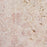 Farini Pink Travertine Paver - Unfilled & Honed