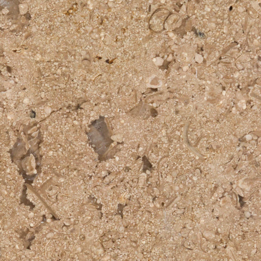 Stiglia Bronzo Limestone Paver - Unfilled & Honed