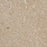 Ivory Pearl Marble Tile - Brushed