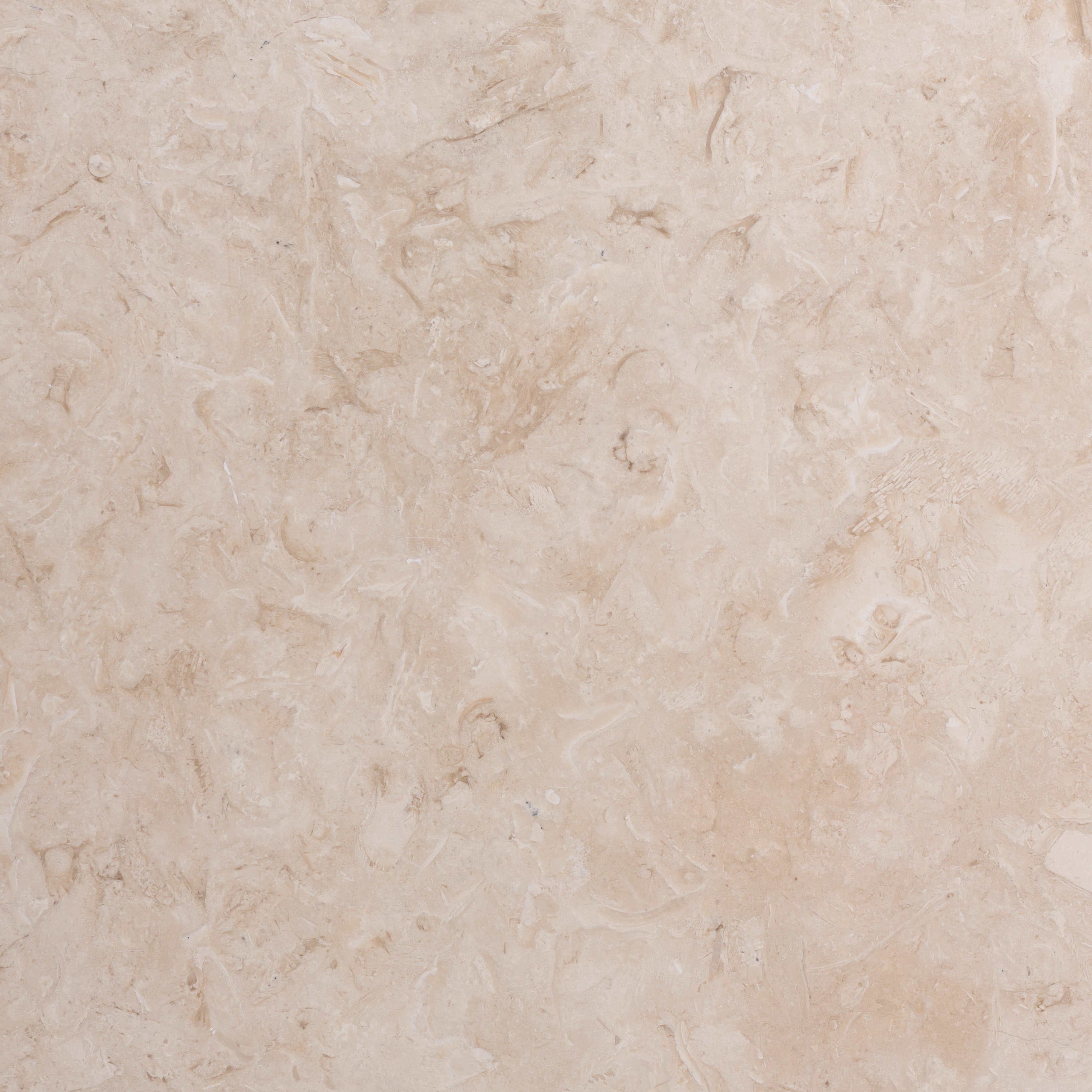 Jerusalem Ramon Limestone Tile - Honed | Lowest Price — Stone & Tile ...