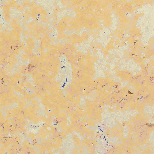 Jerusalem Ramon Gold Limestone Tile - Honed