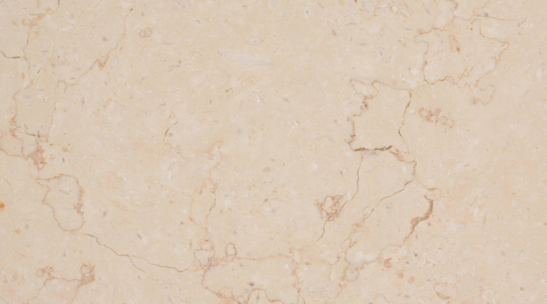 Zevia Pink Limestone Tile - Honed