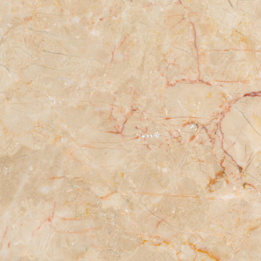 Azzuolo Oro Marble Tile - Polished
