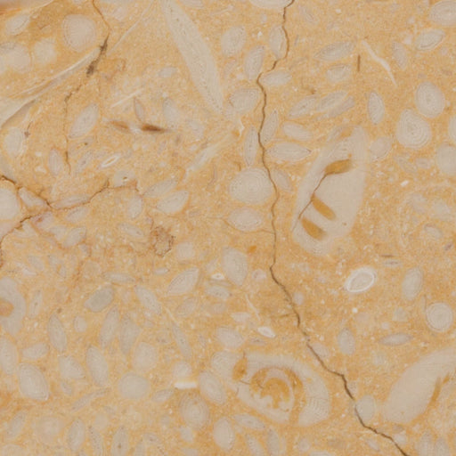 Mediterranean Desert Limestone Tile - Honed
