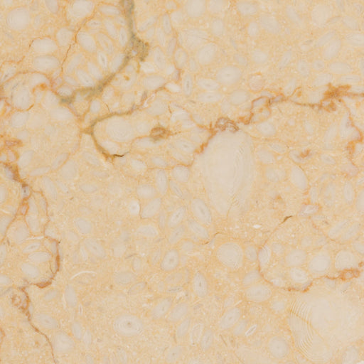 Tabernes Marble Tile - Polished