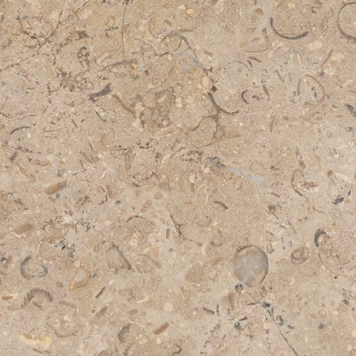 Medium Bronze Limestone Tile - Honed