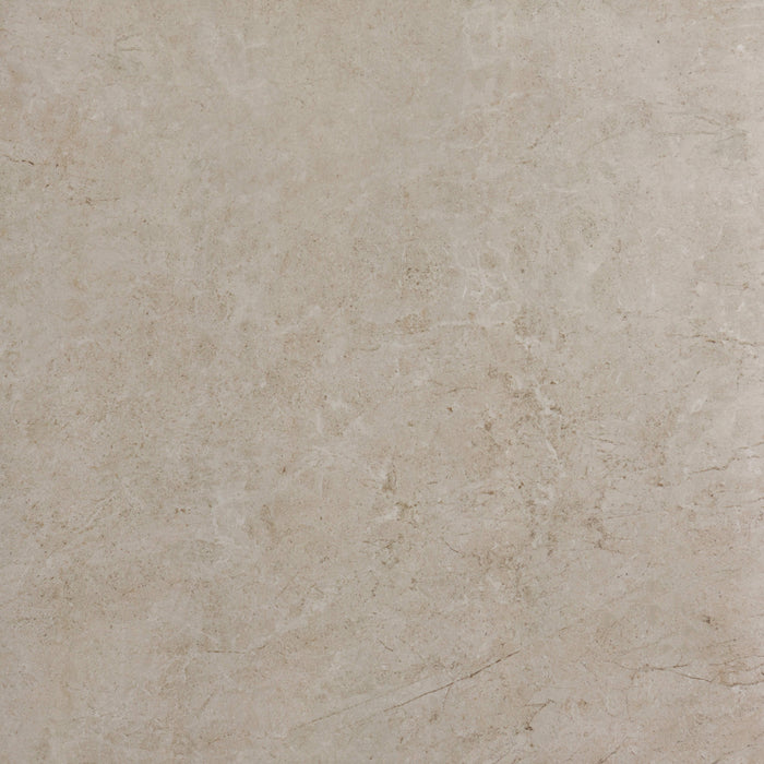 Polished Secchia Platina Porcelain Tile