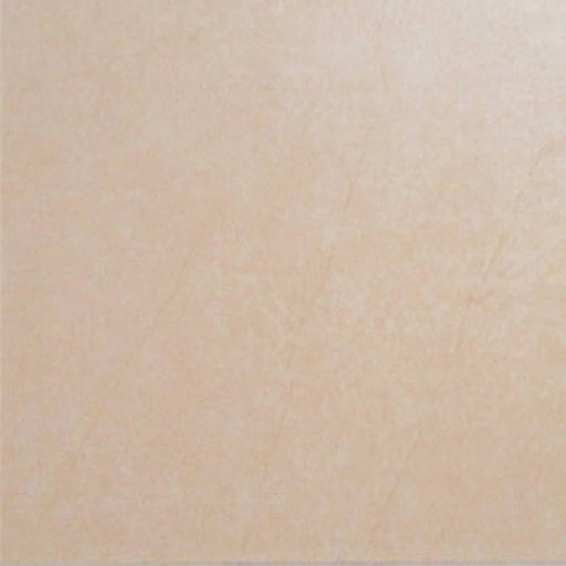 Erverella Porcelain Tile - Polished