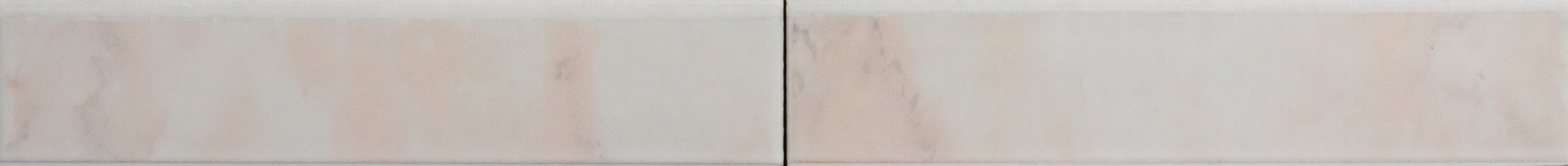 Pincari Salmoni Polished Ceramic Bullnose