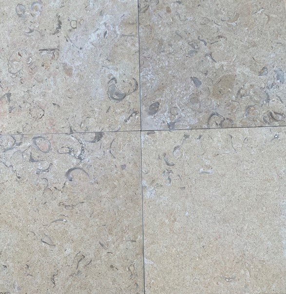Halila Fossil Limestone Tile - 12" x 12" Brushed