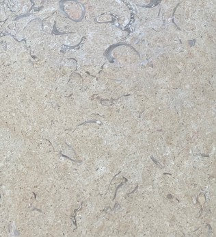 Halila Fossil Limestone Tile - Brushed