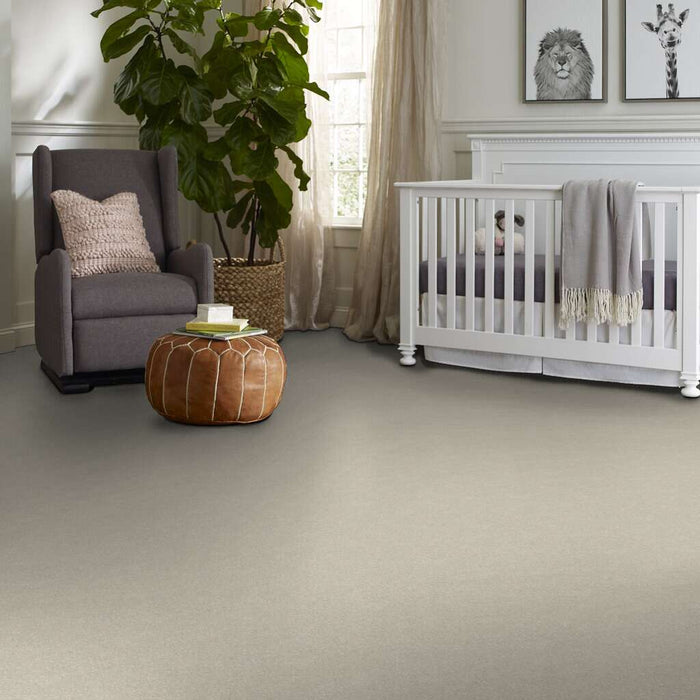 Shaw Floor Studio Home News III 12' Halo 00101 Textured Polyester