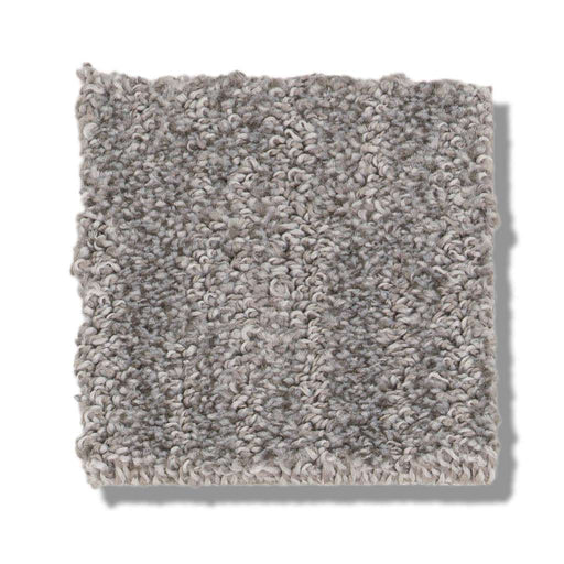 Pet Perfect Plus Nature Within Harbor Dock 00503