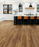 Progen Vinyl Harmony Elm Cocoa 270265028