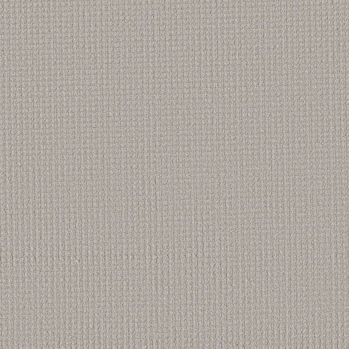 Haze Patterns Shaw Foundations Aerial Arts 00501 Haze Pattern Nylon Carpet — Stone ...