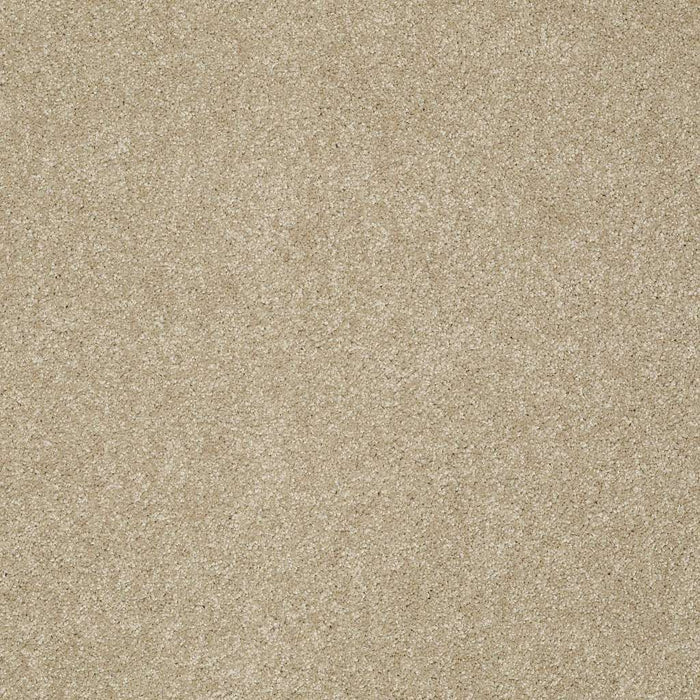 Foundations Take The Floor Texture I Nylon Hazelnut 00750