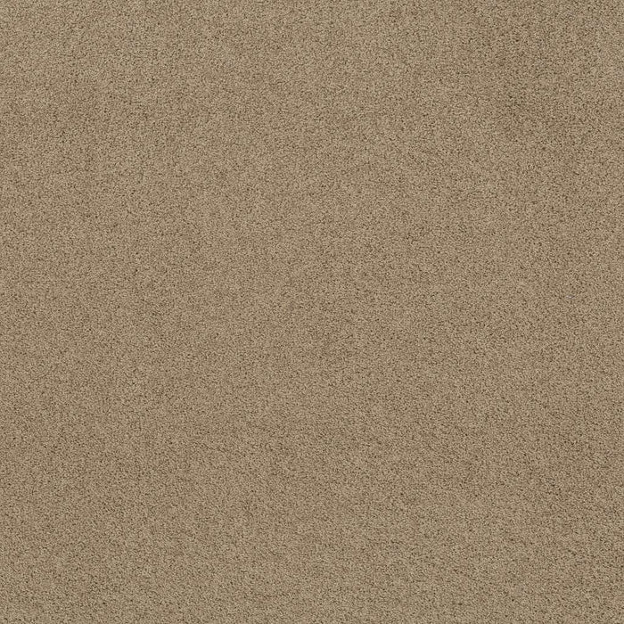 Foundations Take The Floor Twist I Nylon Hazelnut 00750