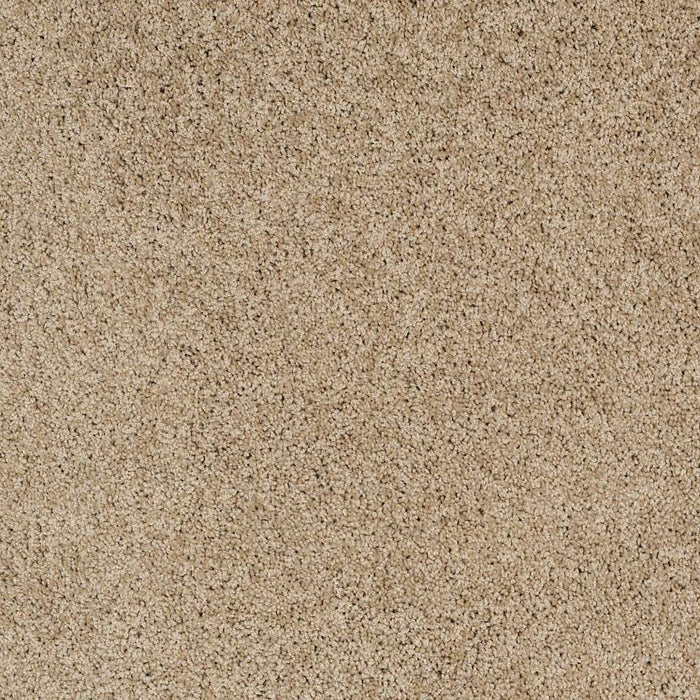 Foundations Take The Floor Twist II Nylon Hazelnut 00750