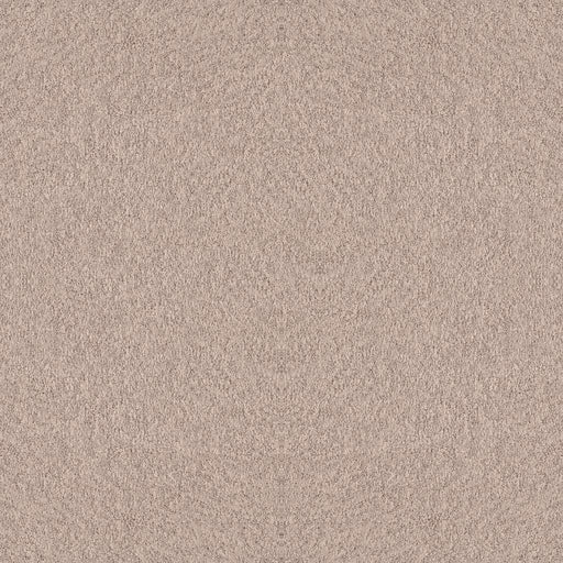 Foundations Alluring Canvas Heirloom 00803