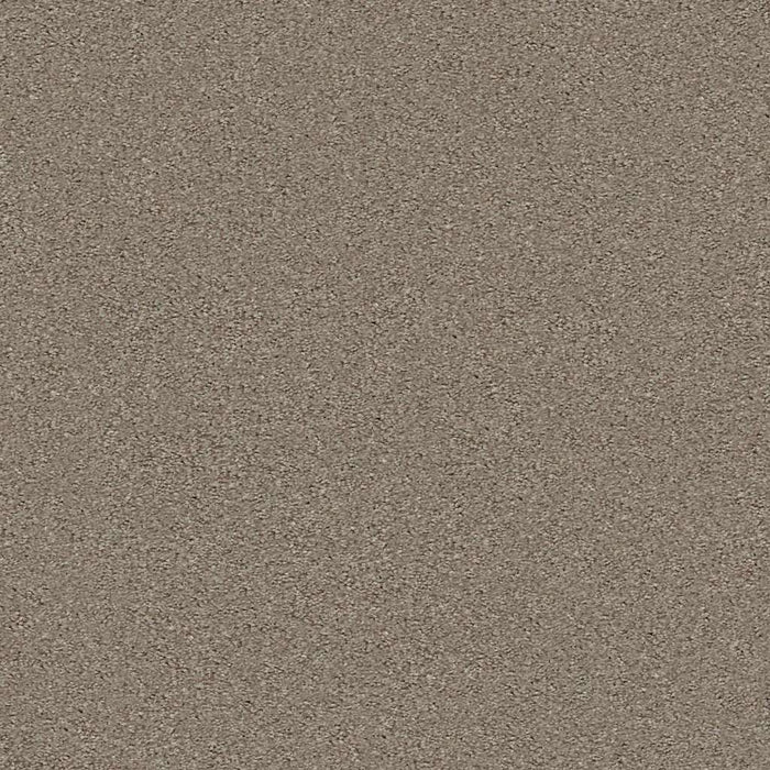 Simply The Best Momentum I Polyester Hickory Manor 720T