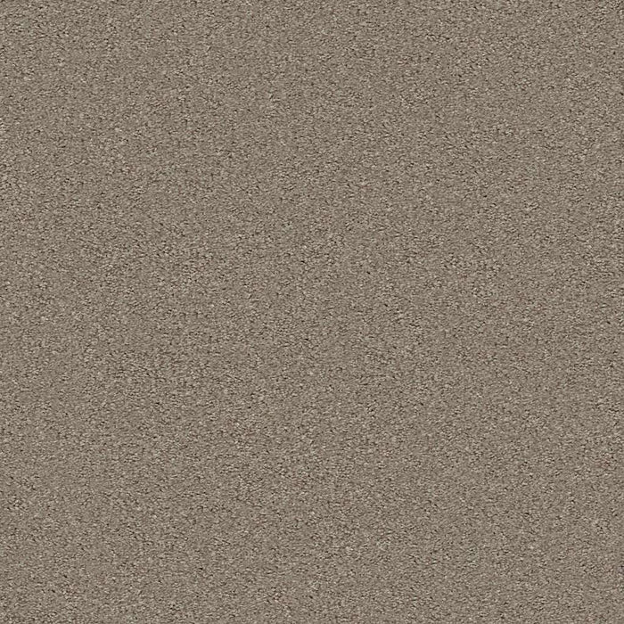 Simply The Best Momentum II Polyester Hickory Manor 720T