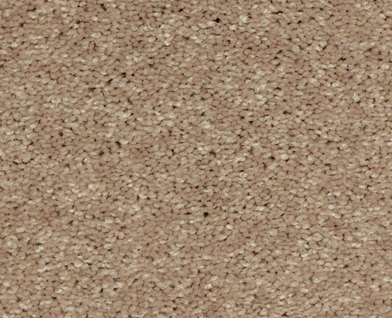 Shaw Main Stay 12' 00200 Honeycomb Textured Polyester Carpet — Stone ...