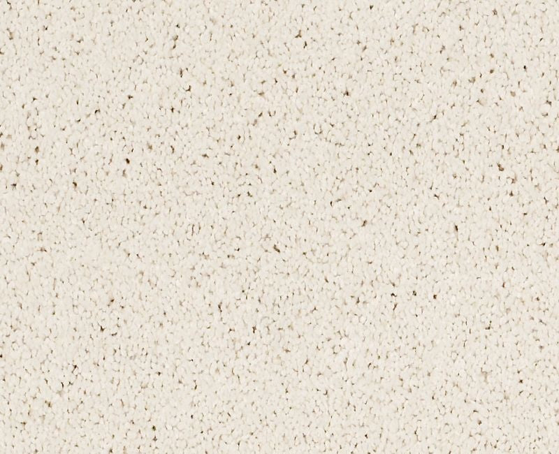 Shaw Pelotage III 00100 Icelandic Textured Nylon Carpet | Lowest Price ...