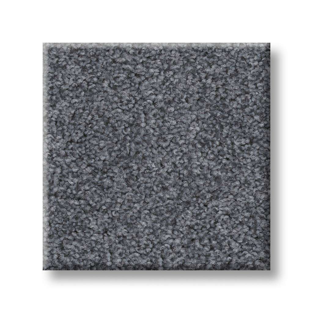 Shaw Foundations Harmonious III 00437 Indigo Ink Textured Nylon Carpet ...
