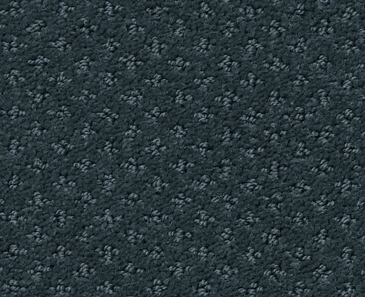 Gentle PV Indigo 00411