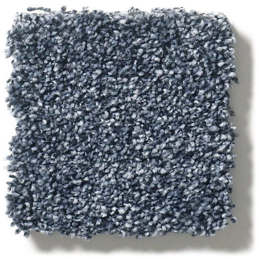 Pet Perfect Plus Just A Hint I Indigo 00405