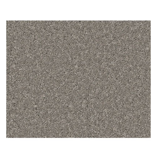 Shaw Smooth Talk II 00501 Ink Spot Textured Polyester Carpet — Stone ...
