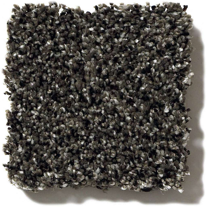Shaw Simply The Best Because We Can III 12' 00503 Iron Age Carpet