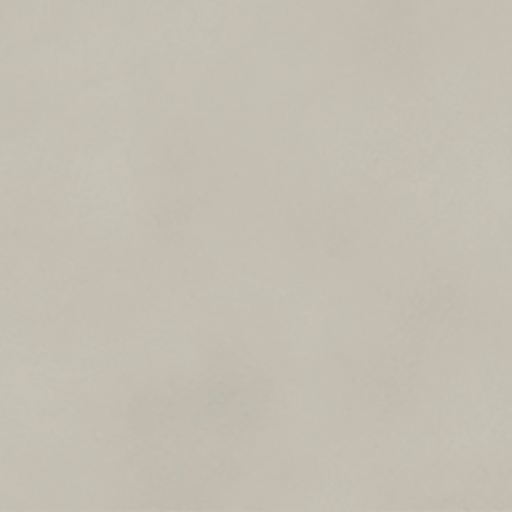 Ironworx Ivory F82IRONIV1223