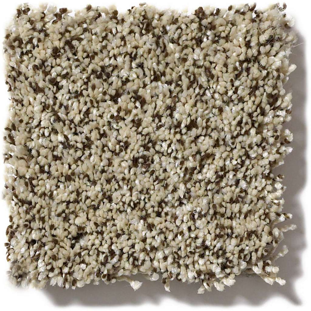 Shaw Simply The Best Because We Can III 15' 00101 Ivory Coast Carpet