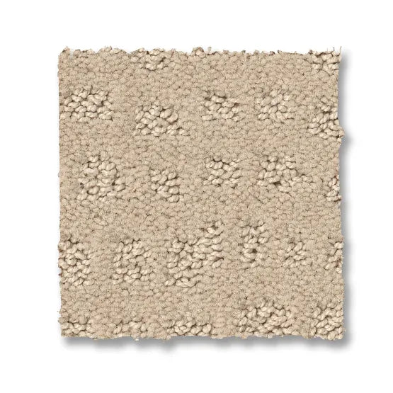 Anderson Tuftex Reawaken Solstice 00120 Ivory Loop Nylon Carpet — Stone ...