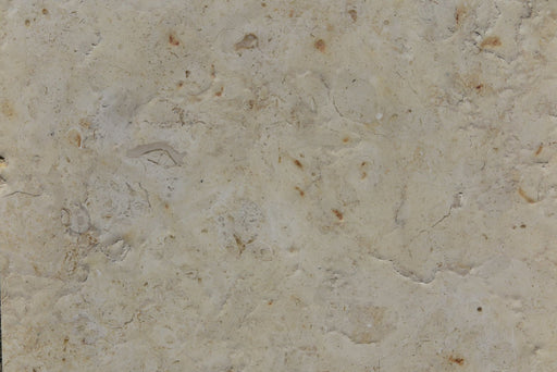 Full Tile Sample - Jerusalem Gold Limestone - 6" x 6" x 3/8" Brushed