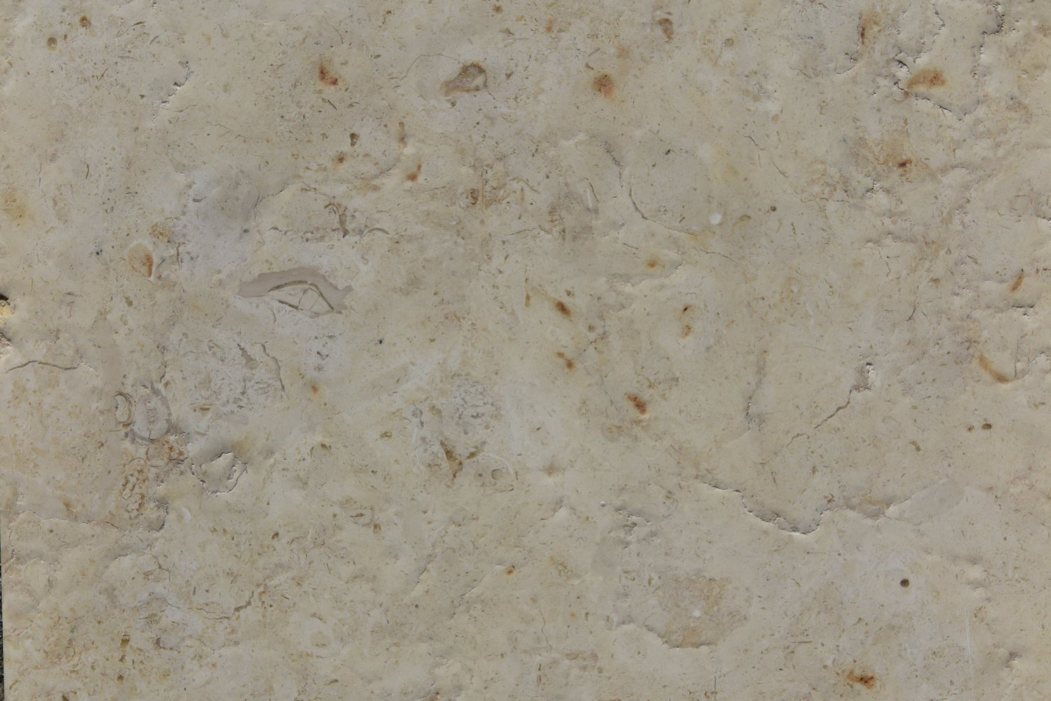 Full Tile Sample - Jerusalem Gold Limestone - 12" x 12" x 3/8" Brushed