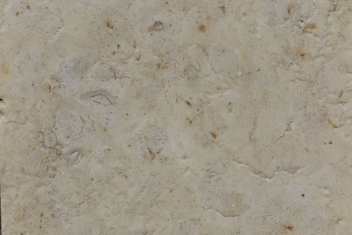 Full Tile Sample - Jerusalem Gold Limestone Tile - 12" x 24" x 1/2" Brushed