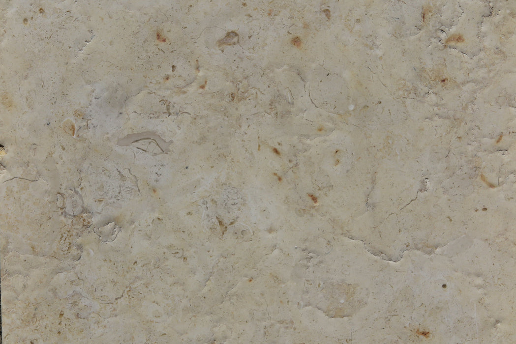 Jerusalem Gold Limestone Tile - 12" x 24" x 1/2" Brushed