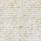 Jerusalem Cream Bone Line Limestone Tile -  Chiseled