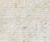 Jerusalem Cream Bone Line Limestone Tile -  Chiseled