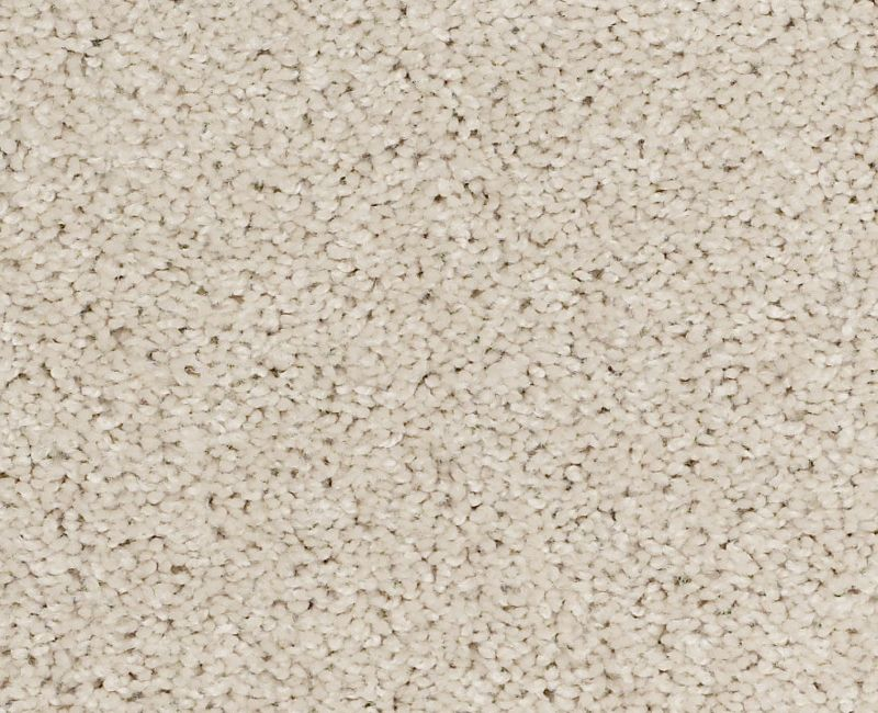 Shaw In A Twinkling 25103 Jump Rope Textured Nylon Carpet — Stone ...