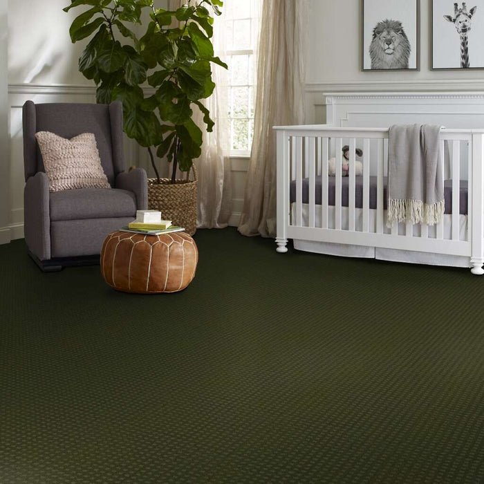 Shaw Floor Studio Style With Ease Kelly 00301 Pattern Nylon