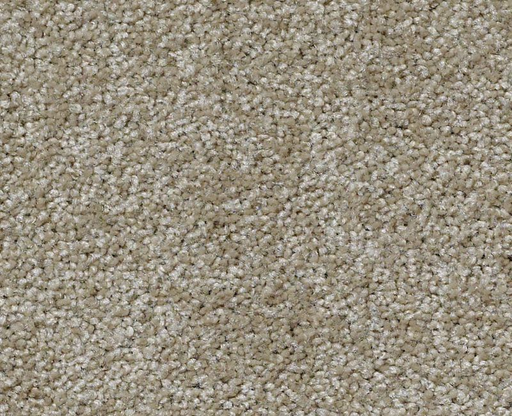 Great Choice Khaki Tan 00700