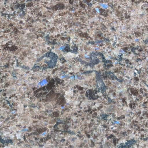 Labrador Antique Granite Tile - 12" x 12" x 3/8" Polished